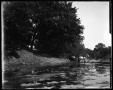 Photograph: [Photograph of Horse and Buggy at Stream]