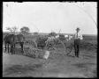 Photograph: [man with wagon load of vegetables]