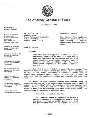Texas Attorney General Opinion: MW-578