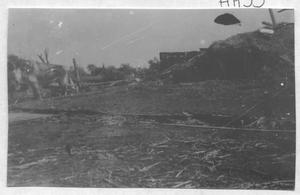 Primary view of object titled '[Storm Debris and Donkey]'.