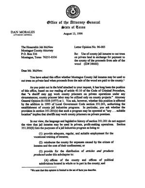Texas Attorney General Opinion: LO96-085