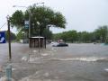 Thumbnail image of item number 1 in: '[Photograph of Floodwaters at the Denton Public Library, Emily Fowler Central Library]'.