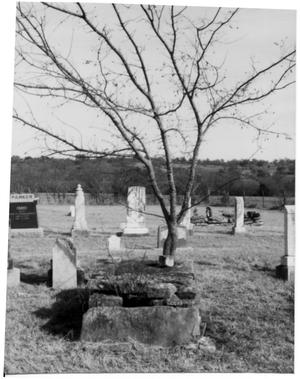 Primary view of object titled 'Monuments at Turner Cemetery'.