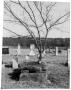 Thumbnail image of item number 1 in: 'Monuments at Turner Cemetery'.