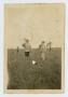 Thumbnail image of item number 1 in: '[Two Young Brothers in a Field]'.