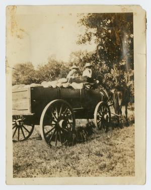Primary view of object titled '[Wagon Full of Watermelons]'.