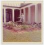 Thumbnail image of item number 1 in: '[Woman in the Helen Hall Library Courtyard]'.