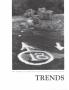 Thumbnail image of item number 1 in: 'Texas Trends in Art Education, Volume 8, 1990-1991'.