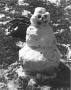 Photograph: Snowman Built in Winter of 1976 in Hurst