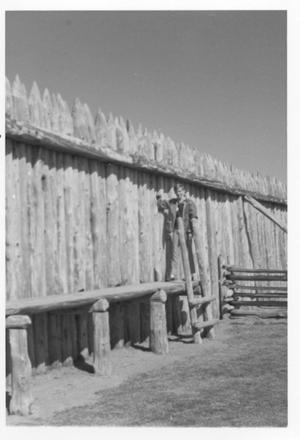 Primary view of object titled 'Fort Parker'.