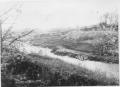 Photograph: [Photograph of Pollution in Trinity River Bottom]
