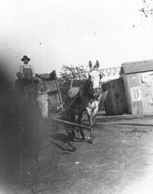 Primary view of object titled 'Man on Horse-Drawn Wagon in Downtown Colleyville'.