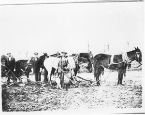 Three Plowmen Standing beside Their Team on Frank Brawley Farm