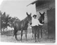 Photograph: Louis Bideault Standing with Mules