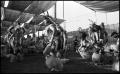 Thumbnail image of item number 1 in: '[Alabama-Coushatta Dancers]'.