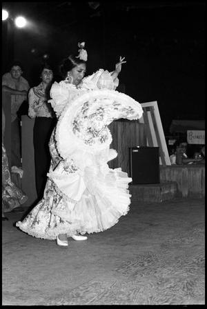 [Flamenco Dance Performers]