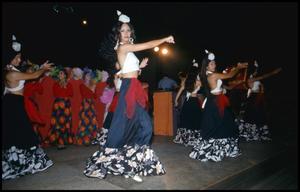 [Flamenco Dance Performance]