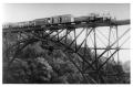 Photograph: [Train on the bridge from Rio Jamapa at Tomatlán]