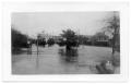 Photograph: [The park under water]
