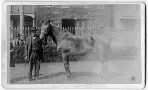 [Man posing with horse in front of a wrought iron fence]