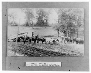 Primary view of object titled '[Anderson County Farmers]'.