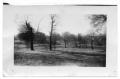 Photograph: [Anderson County Pasture]