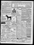 Thumbnail image of item number 3 in: 'El Paso Daily Herald. (El Paso, Tex.), Vol. 19, No. 150, Ed. 1 Saturday, June 24, 1899'.