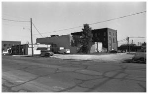 Primary view of object titled '[A Back View of Businesses on the West Side of 100 Block and S. Oak]'.