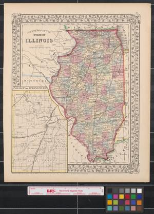 Primary view of County map of the state of Illinois.