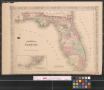Map: Johnson's Florida.