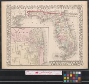 Primary view of object titled 'County map of Florida.'.