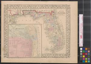 Primary view of object titled 'County map of Florida.'.