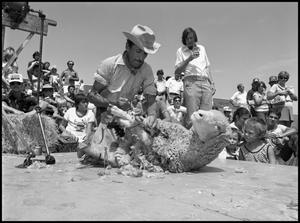 Primary view of object titled '[Cruz Marquez Tying Sheep's Legs]'.