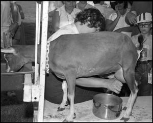 Primary view of object titled '[Milking Demonstration]'.