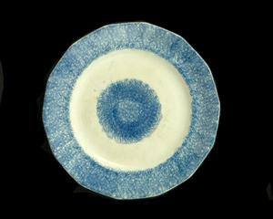 Blue spatter plate