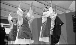 Primary view of object titled '[Shalom Israeli Dance Troupe]'.