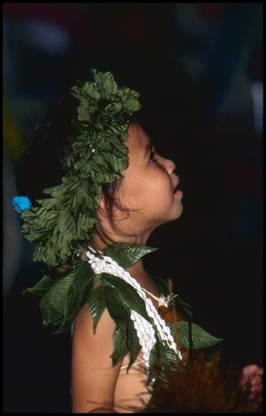 Primary view of object titled '[Hula Halau Ohana Elikapeka the Polynesian Dance Group]'.