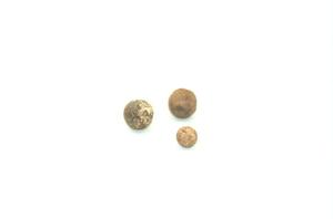 Primary view of object titled 'Musket balls'.