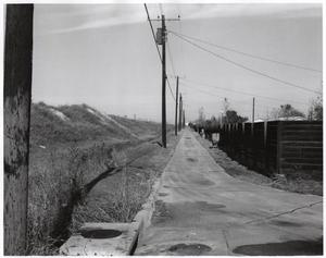 Primary view of object titled 'Bowser Road Alley, Richardson, Texas'.