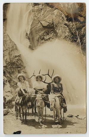 [Women Riding Mules in Colorado]