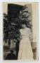 Primary view of [Nannie Evans Standing Outdoors]