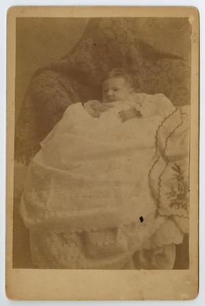 Primary view of object titled '[Portrait of Infant Menifee Cheek]'.