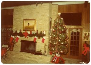 [Christmas Tree and Decorated Fireplace]