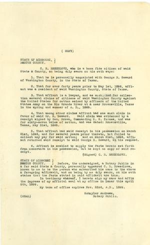 Primary view of object titled '[Breedlove Statement, Copy #2]'.