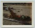 Photograph: [Flowers at Grave for Wendell Lee Tarver]