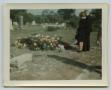 Photograph: [Mourners at Grave for Wendell Lee Tarver]