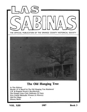Primary view of object titled 'Las Sabinas, Volume 13, Number 3, July 1987'.