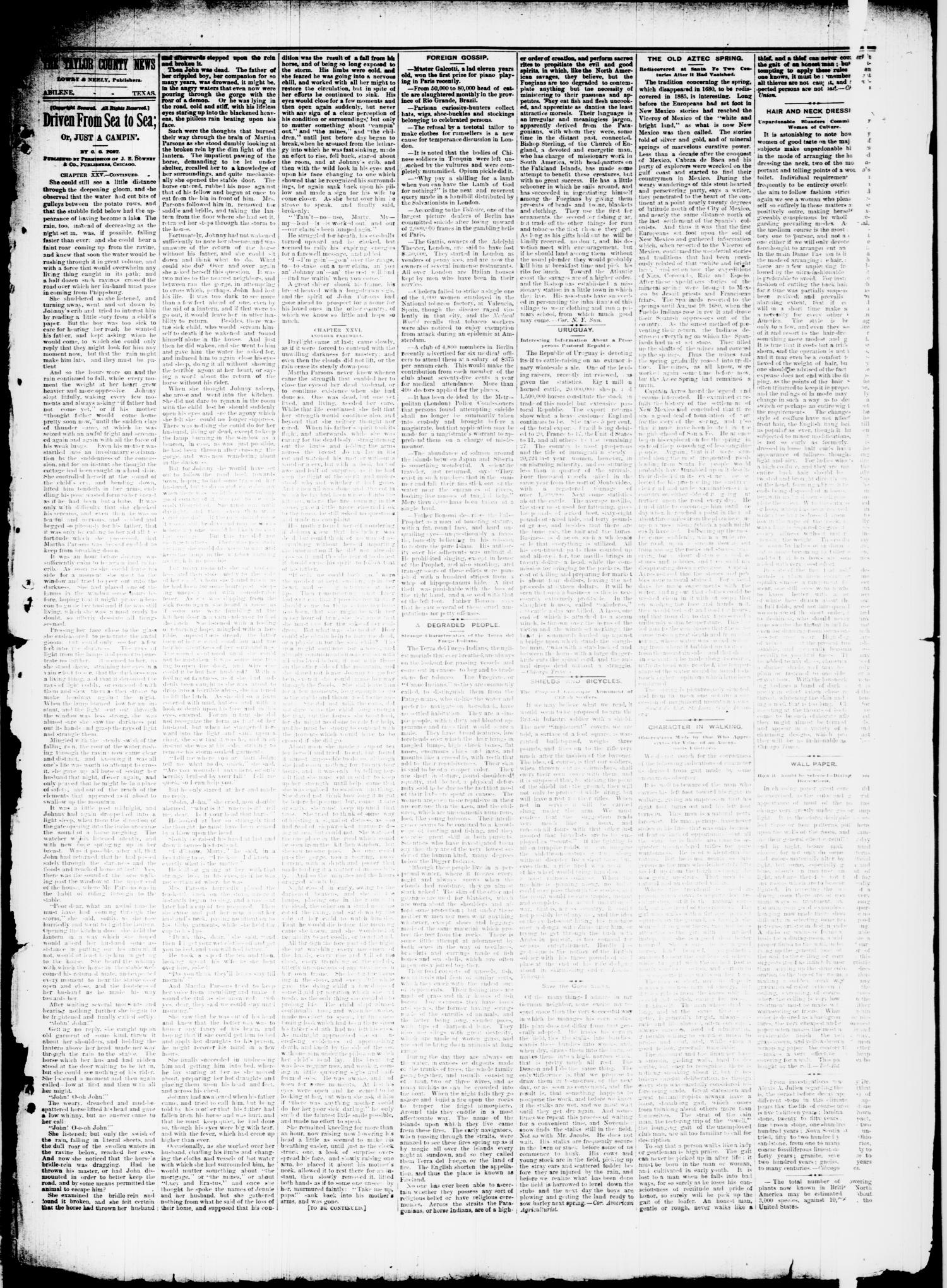The Taylor County News. (Abilene, Tex.), Vol. 1, No. 38, Ed. 1 Friday, December 4, 1885
                                                
                                                    [Sequence #]: 7 of 8
                                                