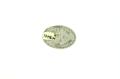 Thumbnail image of item number 2 in: '[5-Cent Merchandise Token]'.