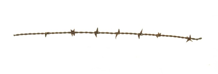Arrow Plate Barbed Wire] - The Portal to Texas History
